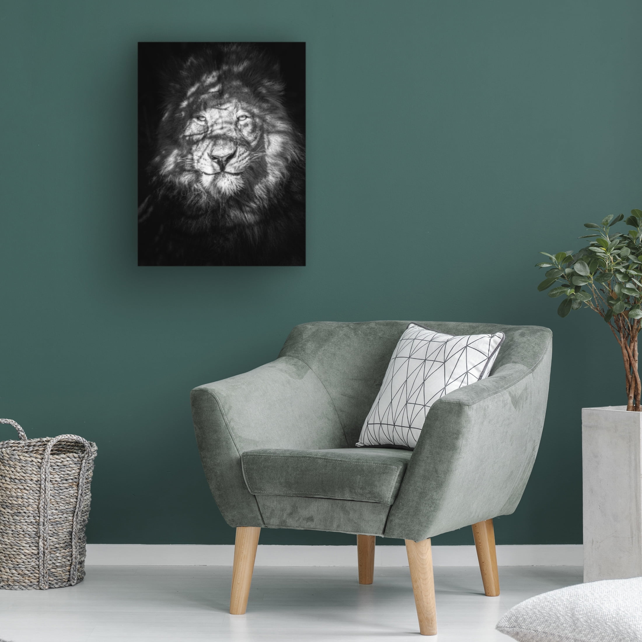 Trademark Fine Art Mike Taylor Being Watched Canvas Wall Art