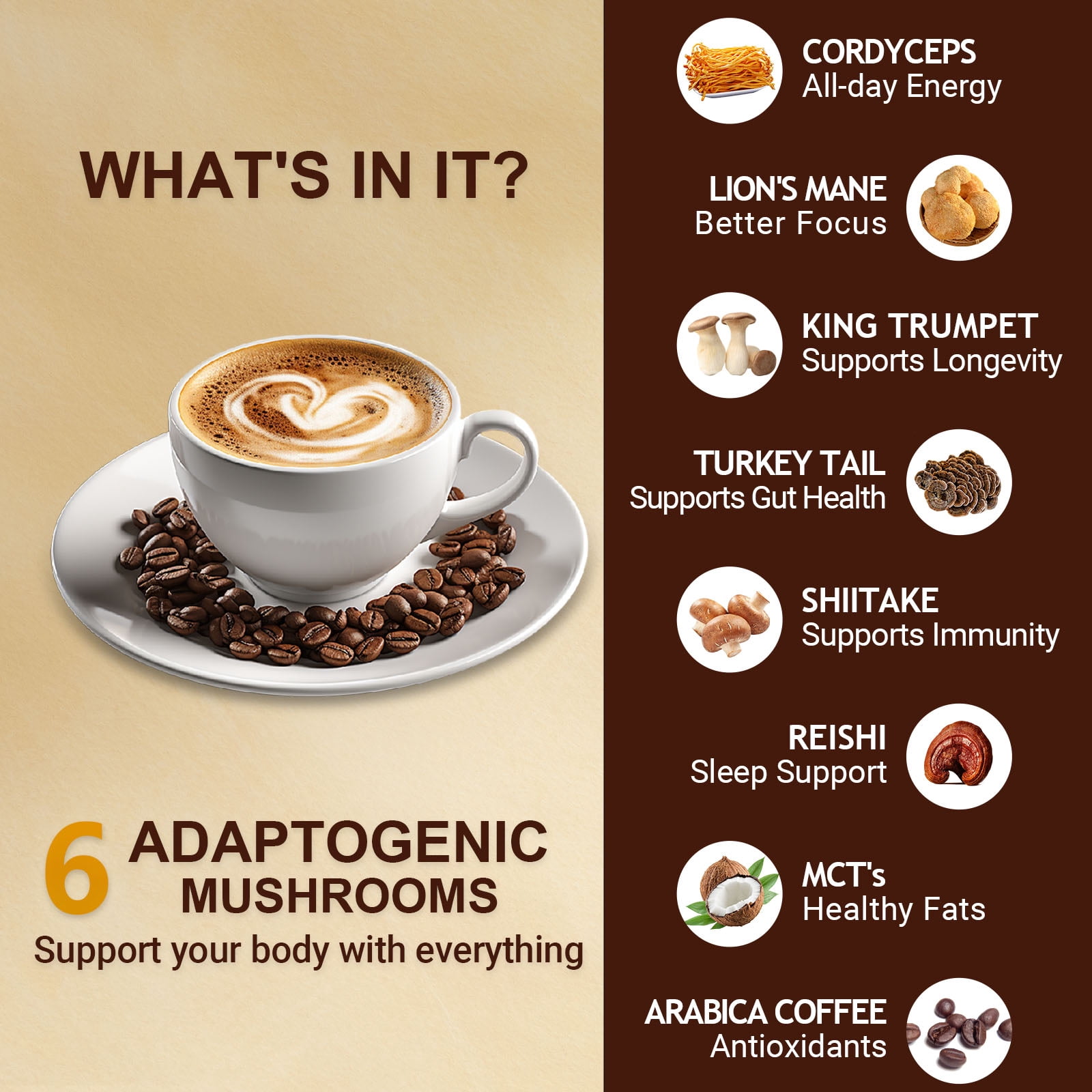 Mushroom Coffee - Instant Coffee - with Lion’s Mane, Cordyceps, Turkey Tail & Other - for Energy, Focus, Digestion, Immunity - 35 Servings (7.4oz)