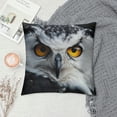 thumbnail image 2 of Orinice Owl Yellow Eyes Symbolism Graphic Decorative Throw Pillow Cover Short Plush for Home Couch Living Room Bed Sofa, Multipurpose Use, 1PC 24x24in, 2 of 5