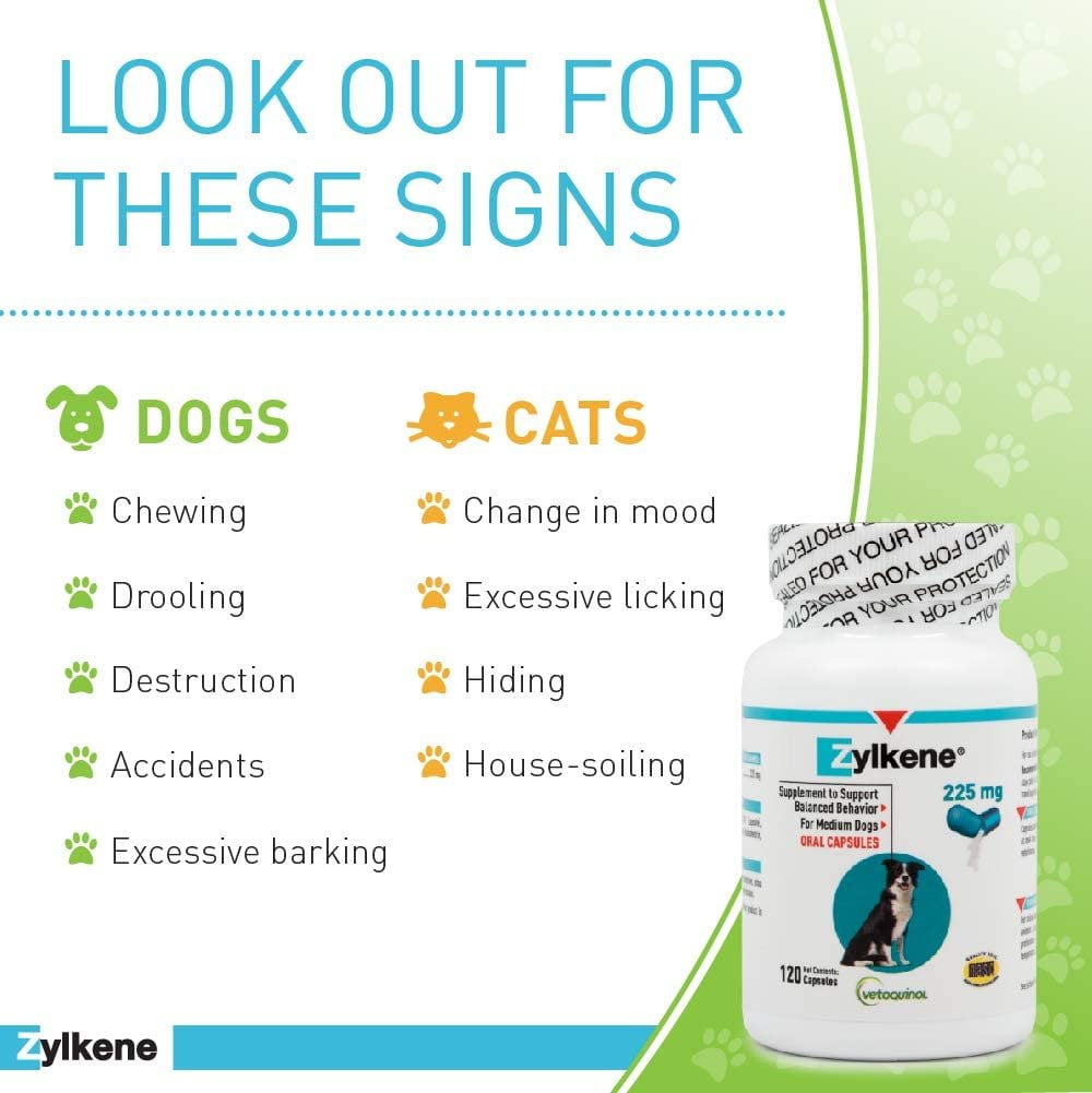 Vetoquinol Zylkene Calming Behavior Support Supplement, Helps Promote Relaxation and Reduce External Stress Factors, Daily Behavioral Support and Anxiety Relief, Dog or Cat, 22-65lbs, 225mg, 120ct