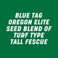 thumbnail image 2 of Pennington Signature Series Tall Fescue Blue Tag 25 lb Partial Sun Grass Seed, 2 of 12