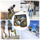 thumbnail image 4 of Balery Sunflower Field Spotted Dog Calzoncillos bóxer para hombre, ropa interior de algodón suave y transpirable con cinturilla de nailon-Medium, 4 of 5