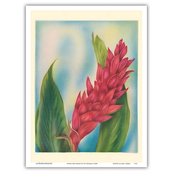 Hawaii Red Ginger - Vintage Hawaiian Airbrush Art by Tip Freeman c.1940s - Master Art Print (Unframed) 9in x 12in