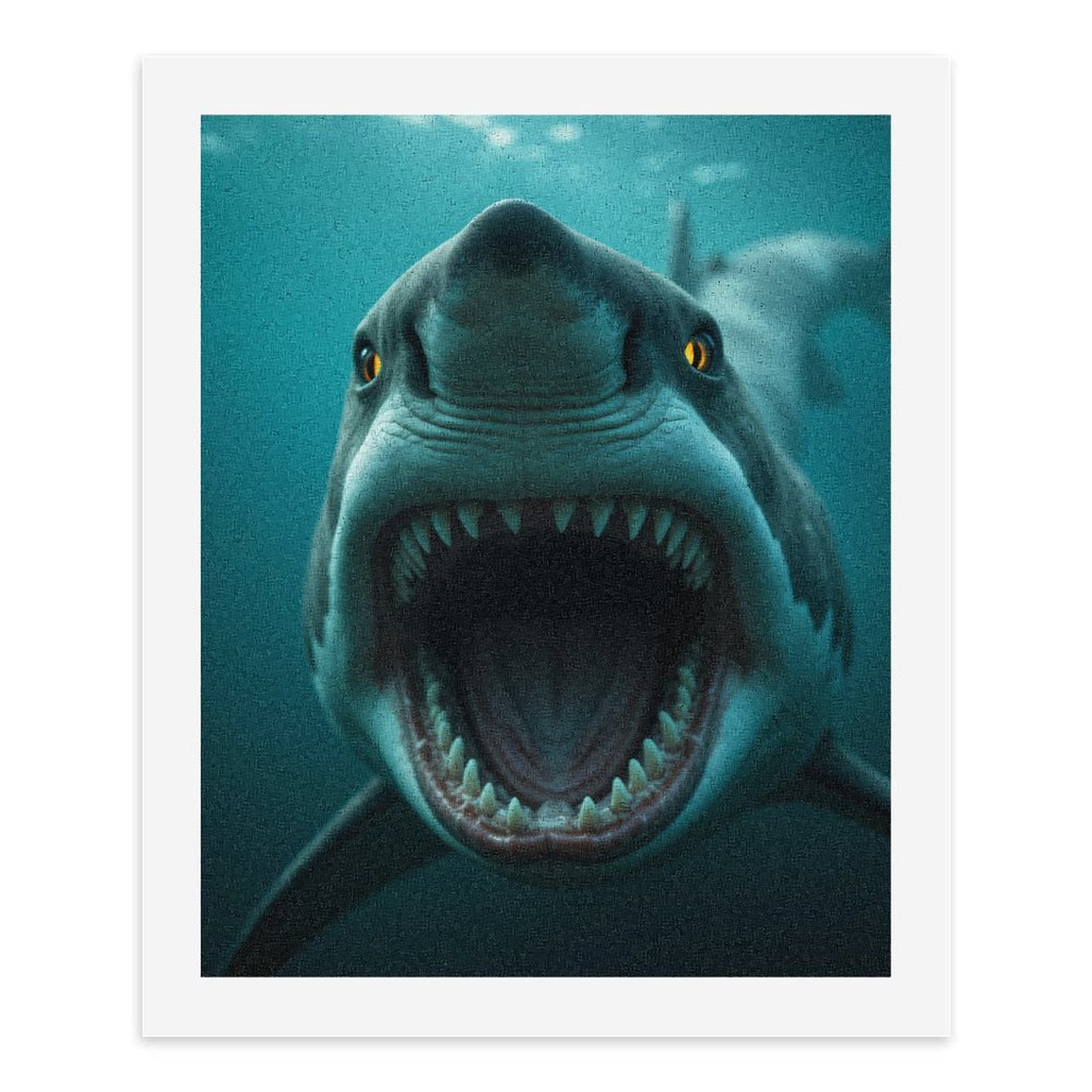 Paint by Numbers Kit for Adults, Shark Close Up Underwater Perspective Paint by Numbers, Easy Paint by Numbers Kit for Adults Beginner, DIY Adult Paint by Number Kits on Canvas, 12x16in Home Decor