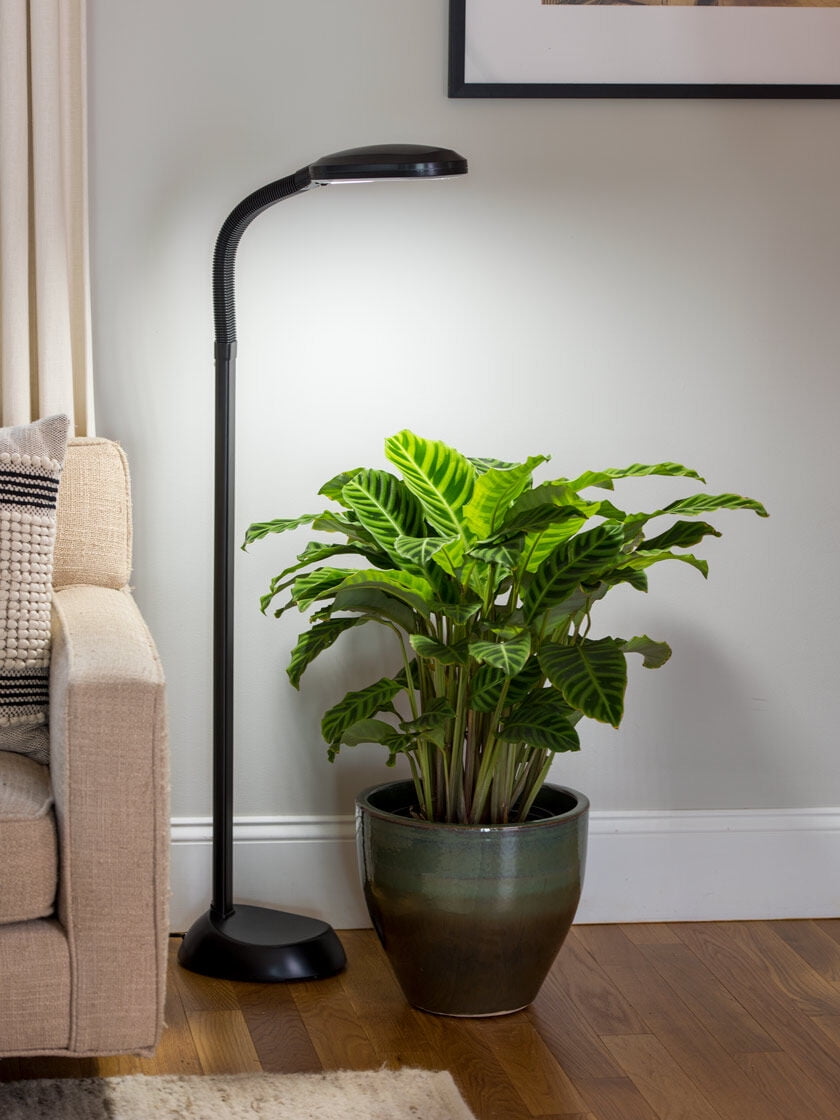 agrobrite floor led plant lamp