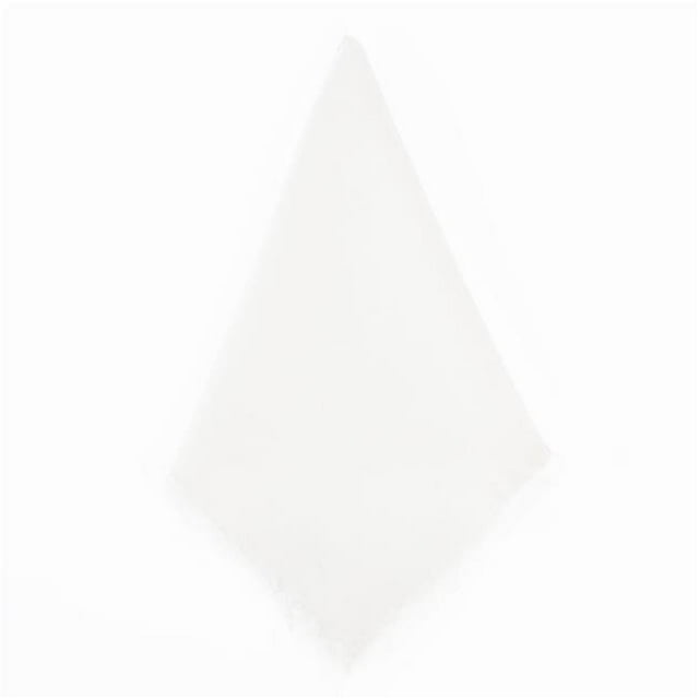 SARO 13009.I20S 20 in. Square Fringed Design Linen Napkins - Ivory Set of 4