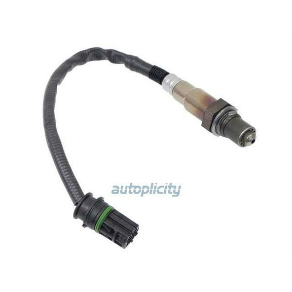 Oxygen Sensor