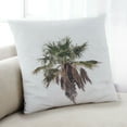 thumbnail image 1 of Ahgly Company Plants Palm Tree Coussin Intérieur, 18 Pouces par 18 Pouces, 1 of 6