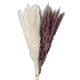 thumbnail image 2 of 2x 15 Piezas de Hierba de Pampa Seca Natural - Plumas de Caña de 17.7 Pulgadas, Ramo de Flores Secas Arreglos Boho Hogar Boda Cocina Oficina Decoració Sunnimix Hierba de pampa seca, 2 of 8