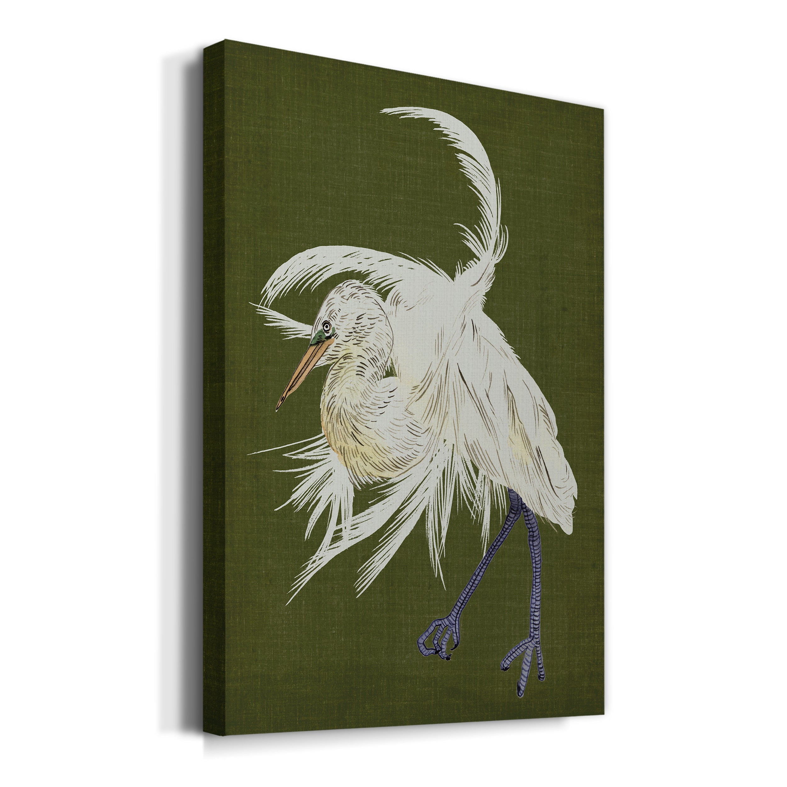 Heron Plumage II Premium Gallery Wrapped Canvas - Ready to Hang