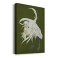 thumbnail image 2 of Heron Plumage II Premium Gallery Wrapped Canvas - Ready to Hang, 2 of 7