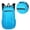 Lake Blue, variant on Hiking Backpack Travel Backpack Foldable Daypacks Casual Backpack for Running