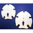 thumbnail image 4 of Set of 12: White Rustic Arrowhead Sand Dollars 3-3 1/2" Beach Wedding Coastal Cottage Decor, 4 of 7