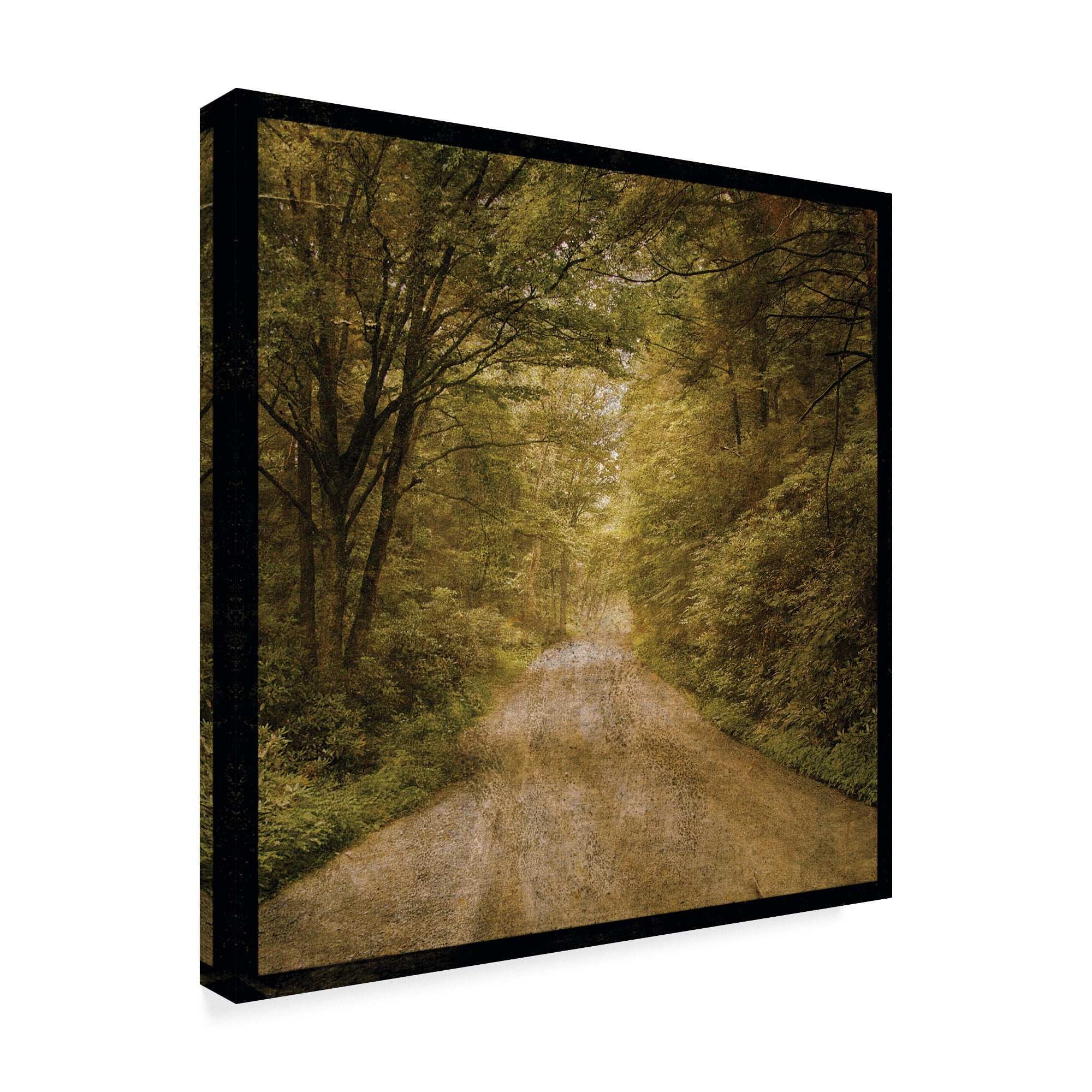 Trademark Fine Art 'Flannery Fork Road' Canvas Art by John W. Golden