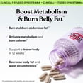 thumbnail image 2 of Lemme Burn - Metabolismo, quema de grasa del vientre + suplemento activador AMPK para hombres y mujeres con actiponina gynostemma clínicamente estudiada, extracto de té verde, vitaminas B6 y B12 - veg, 2 of 5