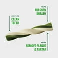 thumbnail image 6 of MINTIES Twists Dog Dental Bone Chews for Medium/Large Dogs Over 30 lbs, Vanilla and Mint Flavor, 12 oz, 6 of 8