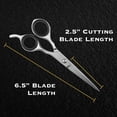 thumbnail image 5 of Professional Hair Cutting Scissors, 6 Inch Barber Hair Thinning Scissors, Razor Sharp All Stainless Steel Hair Shears, 5 of 5