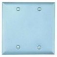 thumbnail image 1 of Teddico/Bwf Plate Blank 2G W/P 722-1, 1 of 1