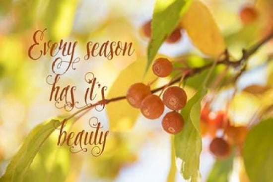 Every Season Canvas