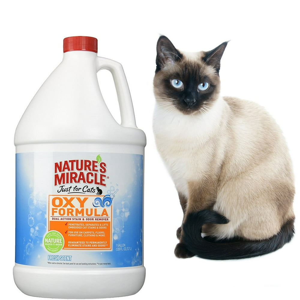 Nature's Miracle Just For Cats Stain & Odor Remover with Oxy Formula & Fresh Scent, 1 gallon