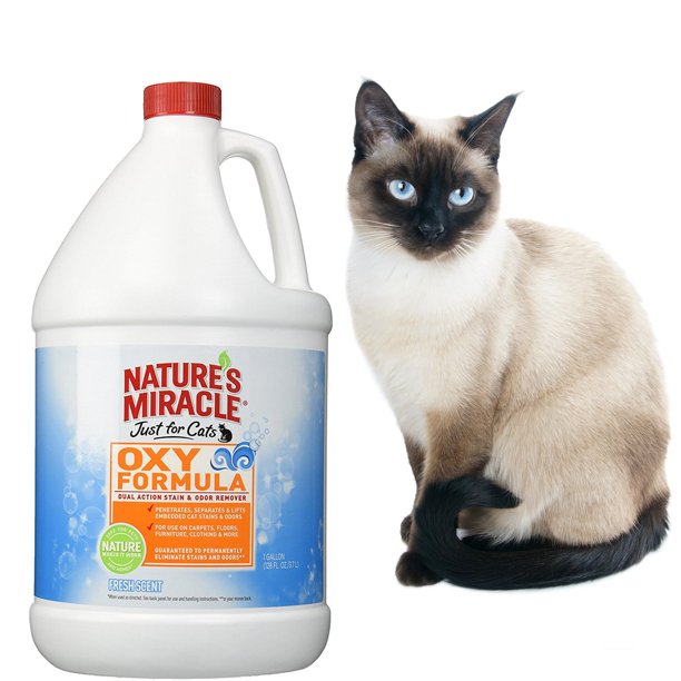 Nature's Miracle Just For Cats Stain & Odor Remover with Oxy Formula & Fresh Scent, 1 gallon