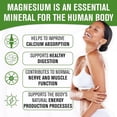 thumbnail image 5 of NaturalSlim Magicmag Pure Magnesium Citrate Powder Stress, Constipation, Muscle, Heart Health, and Sleep Support | Raspberry Lemon Magnesium Supplement - 8oz Drink Mix (2 Pack), 5 of 6