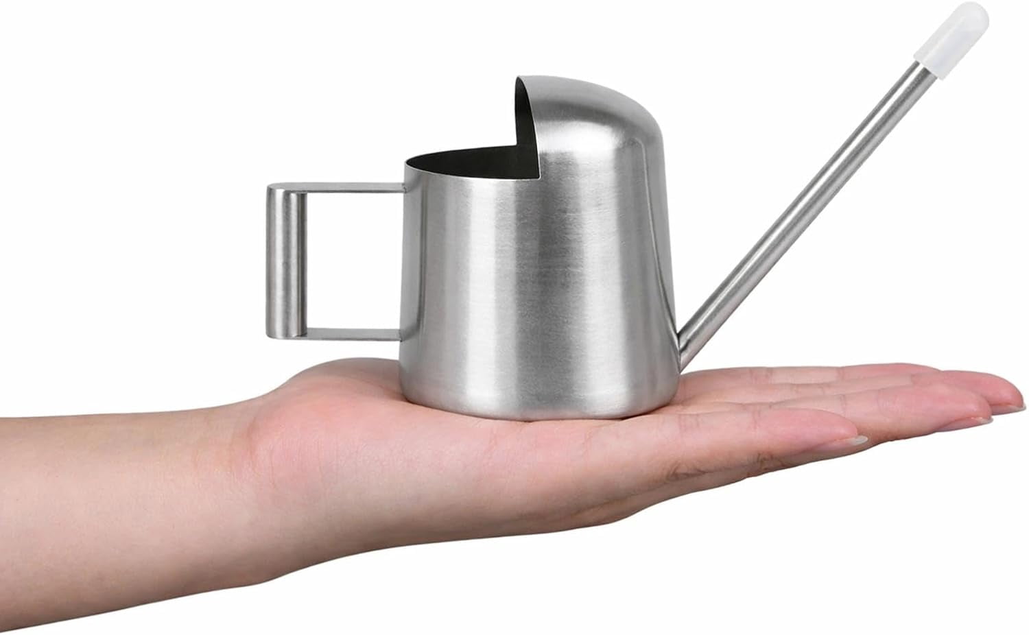 Tiny Watering Can for Indoor Plants Bonsai Tree Stainless Steel Small Succulents, 11oz/300ml