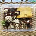 thumbnail image 3 of Flmtop Floating Platform Muti-Purpose Double Track Climbing ABS Climbing Tortoise Platform for Turtle White, 3 of 9