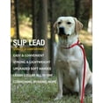 thumbnail image 3 of Dog Leashes for Medium Large Dogs, Dog Leash Slip Lead, Dog Training Leash Strong Heavy Duty Braided No Pull Training Lead Leashes for Small Medium Large Dogs, Orange, 3 of 8