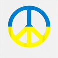 thumbnail image 3 of CafePress - Peace In Ukraine. Stand With Ukraine. S Sweatshirt - Kids Hooded Sweatshirt, Classic Hoodie, 3 of 4