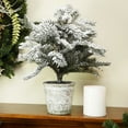 thumbnail image 2 of Northlight 20" Unlit Artificial Flocked Pine Tree in Pot, 2 of 3