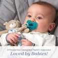 thumbnail image 2 of Chicco PhysioForma® One-Piece Silicone Pacifier, 6-16 Months, 2pk - Blue/Green, New, 2 of 10