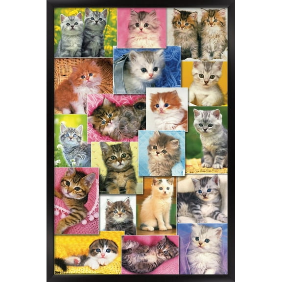 Keith Kimberlin - Kittens Collage Wall Poster, 14.725" x 22.375", Framed