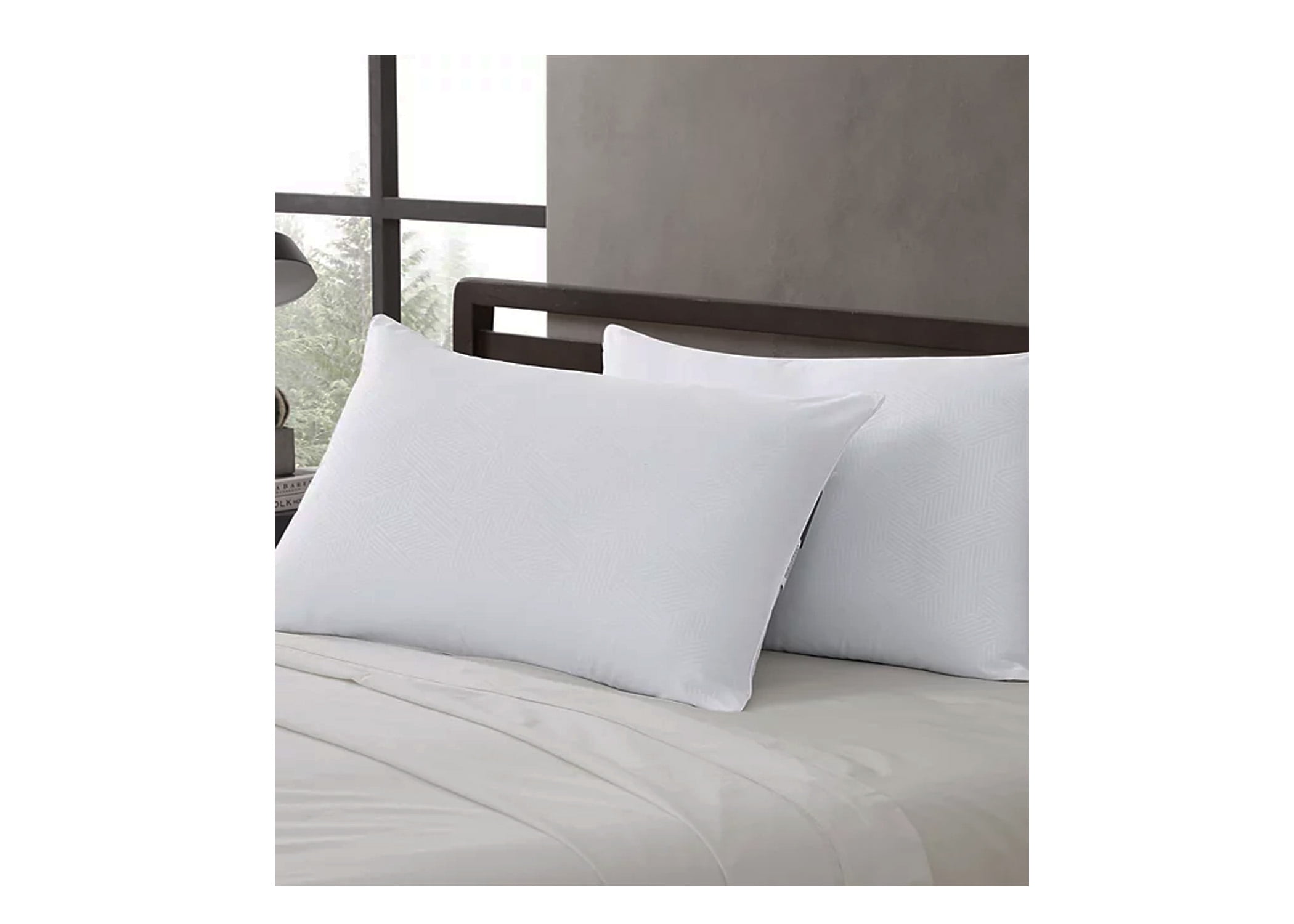 Eddie Bauer 2-Pack Pillow, Jumbo, White