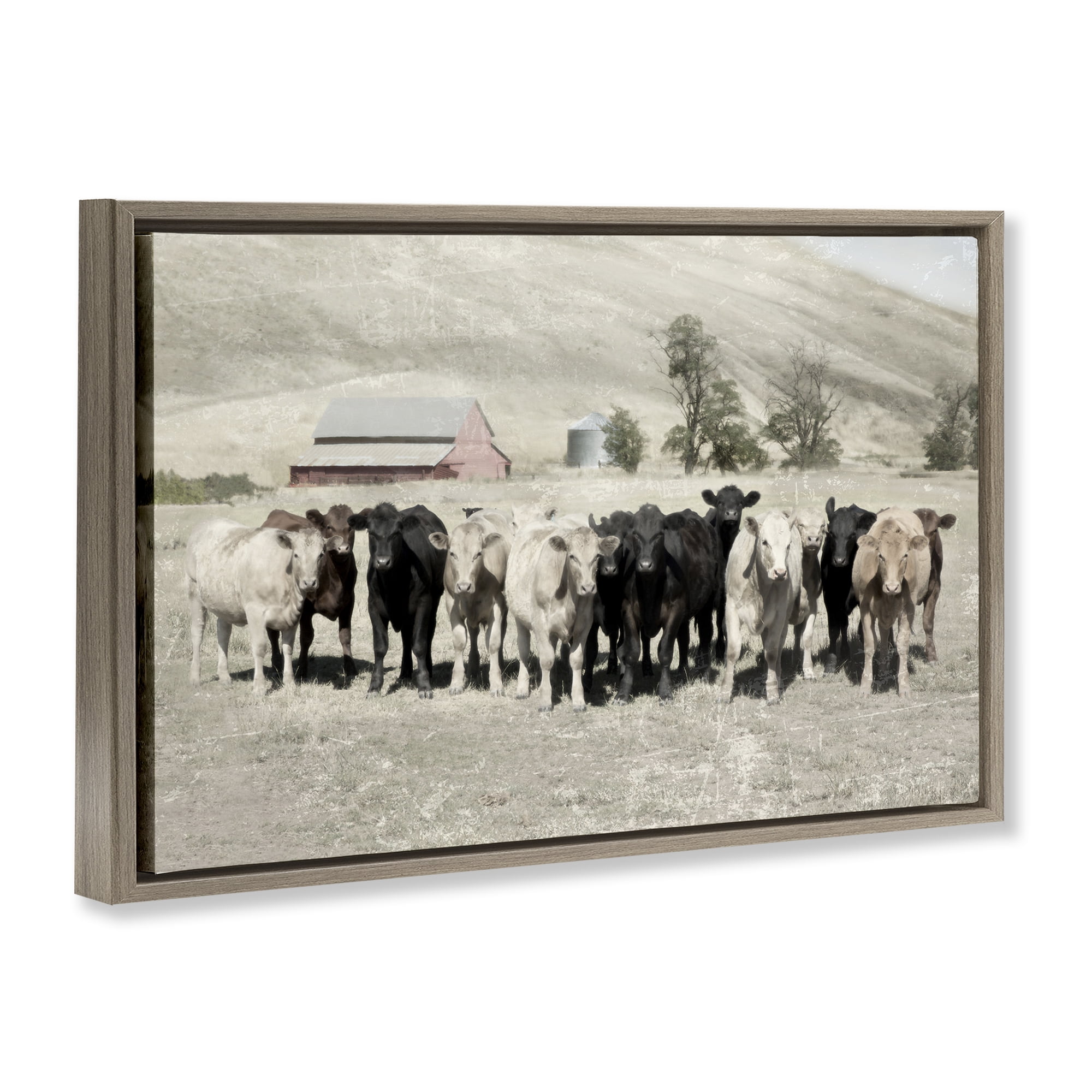 Stupell Industries Varied Cattle on Farm Landscape Painting Brown Floater Framed Canvas Art Print Wall Art, 31 x 21
