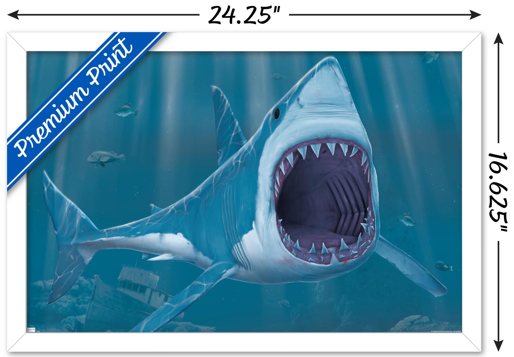 Vincent Hie - Shark Bite Wall Poster, 14.725" x 22.375", Framed