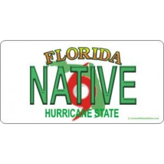 Design It Yourself Custom Florida Plate #4. Free Personalization on Plate