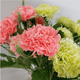thumbnail image 2 of Xiao Hua flores artificiales de clavel, flores falsas, flores artificiales para decoración de bodas, 2 of 5