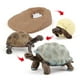 thumbnail image 2 of Juguete educativo Hugo Simulación Animal Mini tortuga Geochelone, 2 of 9