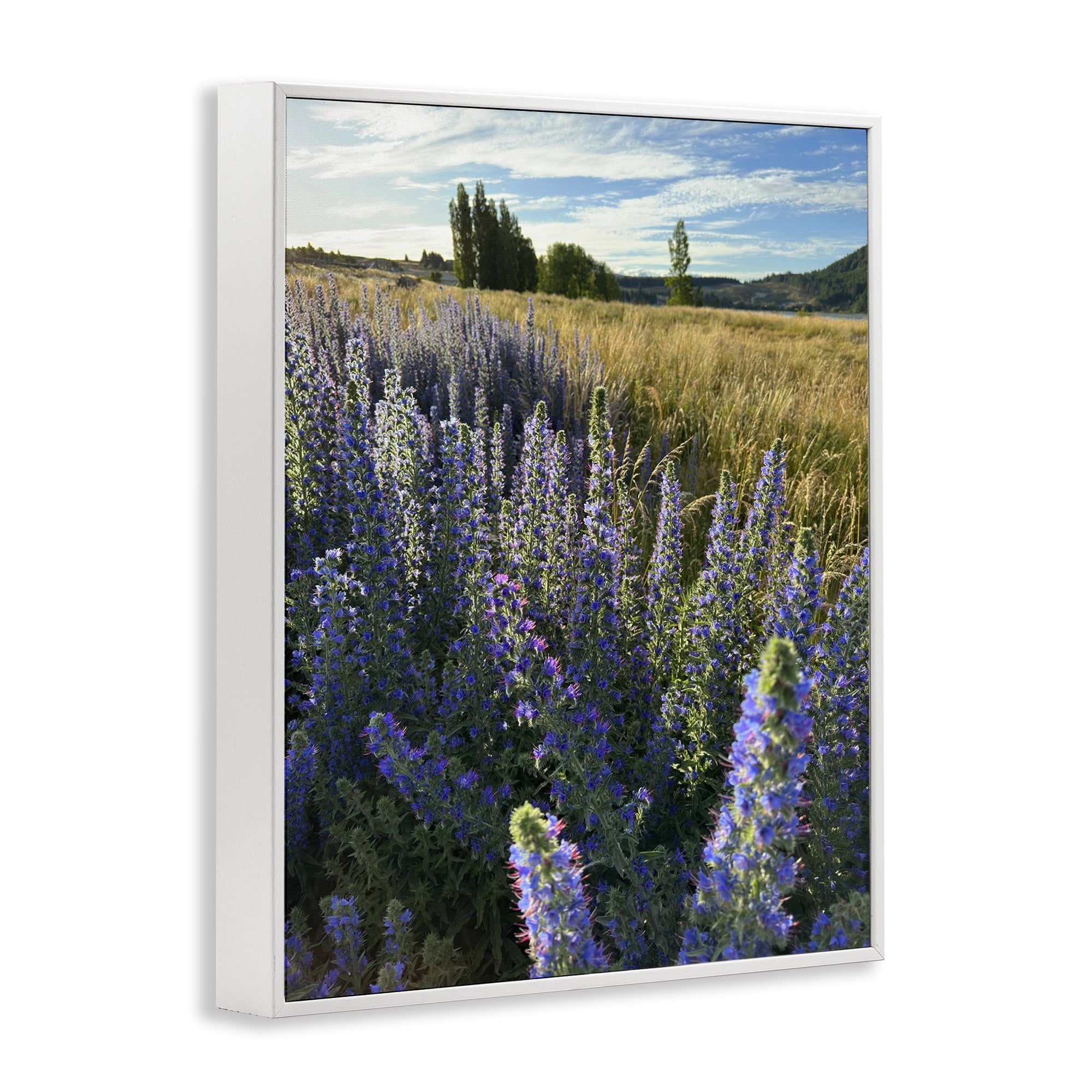 Stupell Industries Lavender Fields Landscape Landscape Photography White Framed Art Print Wall Art, 24 x 30