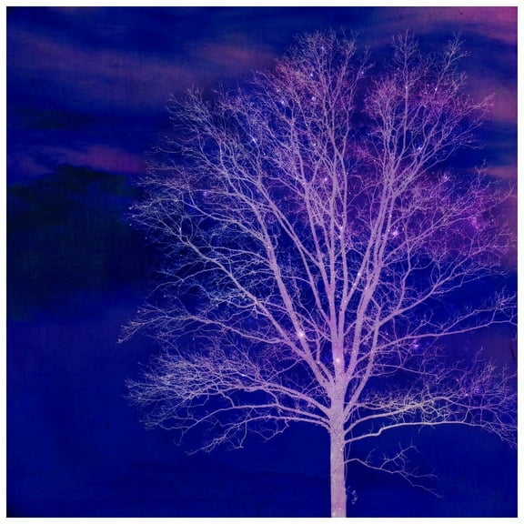 Marmont Hill "Sparkle" by Robert Dickinson Painting Print on Canvas