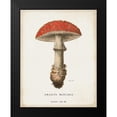 thumbnail image 2 of Wild Apple Portfolio 20x24 Black Modern Framed Museum Art Print Titled - Mushroom Study II, 2 of 5