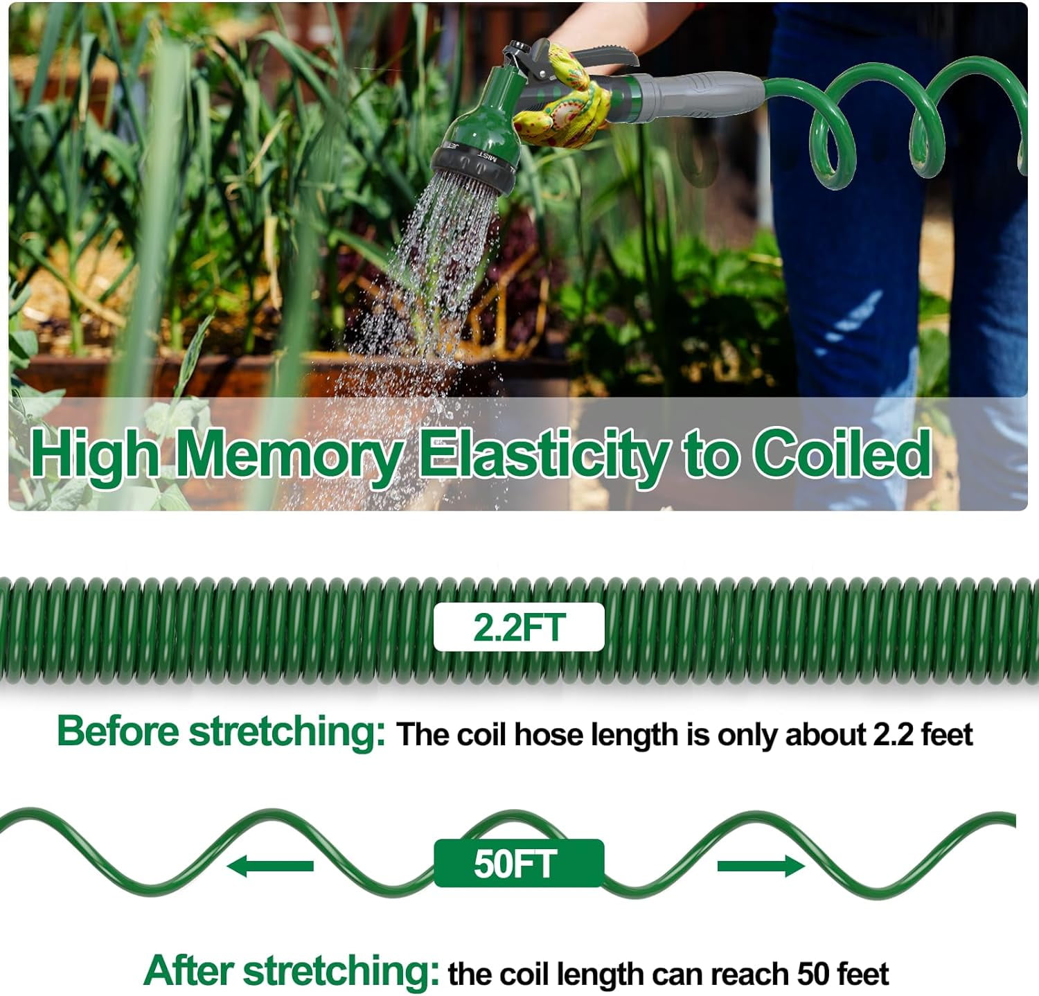 Specilite Garden Hose Lightweight 50 ft, Flexible Coiled Water Hose for Outside, Yard, Patio