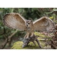 thumbnail image 5 of Hi-Line Gift 12” Animal Eagle Owl Garden Statue, Weatherproof, 5 of 6