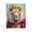 Regal Lion Portrait Crown, variant on Stupell Industries Tropical Fierce Tiger on Pink Black Framed Giclee Art, 11 x 14, by Kim Allen