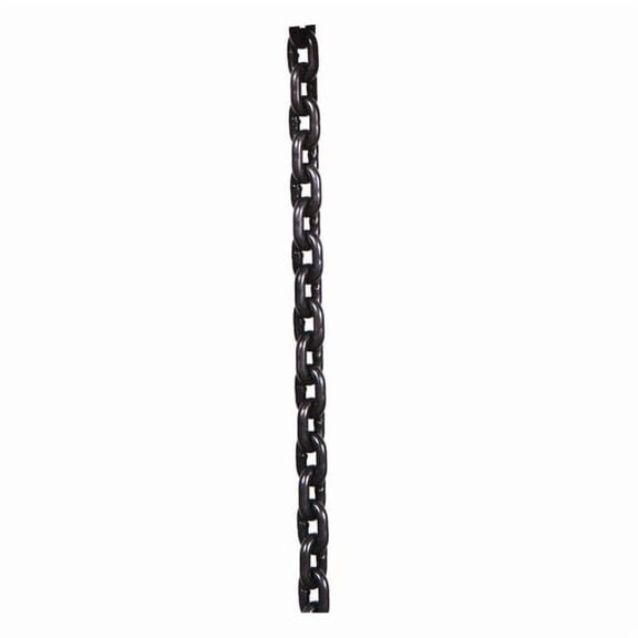 Dayton Load Chain Hoist GGS_57023