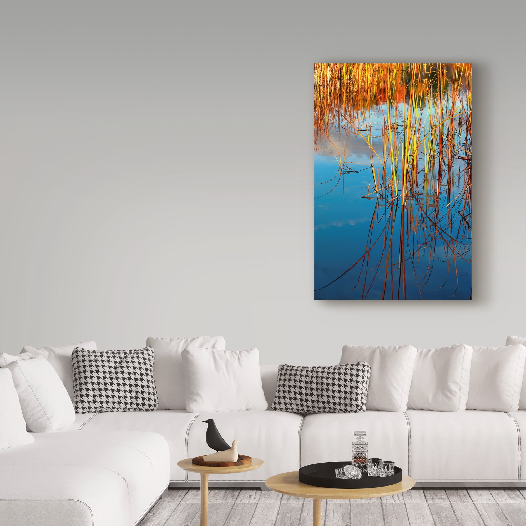 Trademark Fine Art 'Reflections On Water' Canvas Art by Anthony Paladino