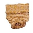 thumbnail image 1 of Barkertime Golden Cheetah Washable Dog Diaper - Made in USA, 1 of 7