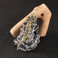 thumbnail image 3 of NEXAVKPR Salamander Figurines Metal Statue Salamander Decorative Objects Ornament, 3 of 9
