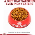 thumbnail image 2 of Feline Gastrointestinal Adult Dry Cat Food, 8.8 lbs., 2 of 2